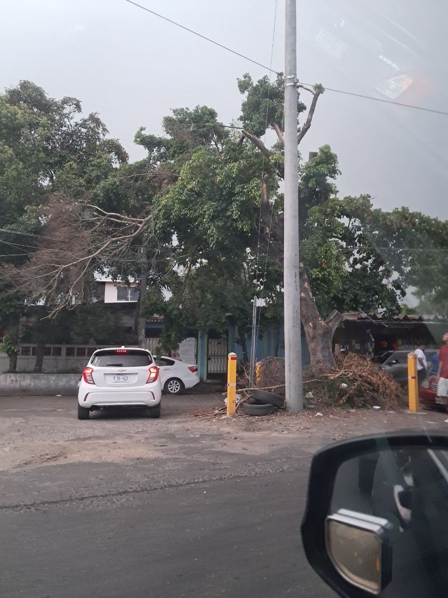 ElMundoSV's tweet image. Las ramas de un árbol cayeron sobre el tendido eléctrico en la entrada de la colonia San José en Soyapango este domingo debido a las lluvias.