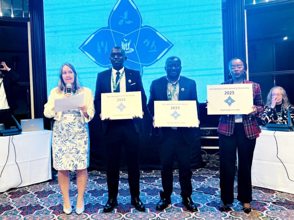Rwanda’s Nyandungu Eco-Park has earned global recognition as one of the world’s leading wetland education centres, winning the prestigious Star Wetland Centre Award at the Convention on Wetlands (COP15) held on July 27, 2025, in Victoria Falls, Zimbabwe.
en.igihe.com/spip.php?page=…