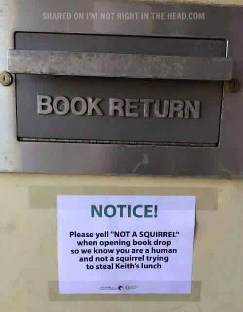 DaddyisBest's tweet image. Squirrels are everywhere...