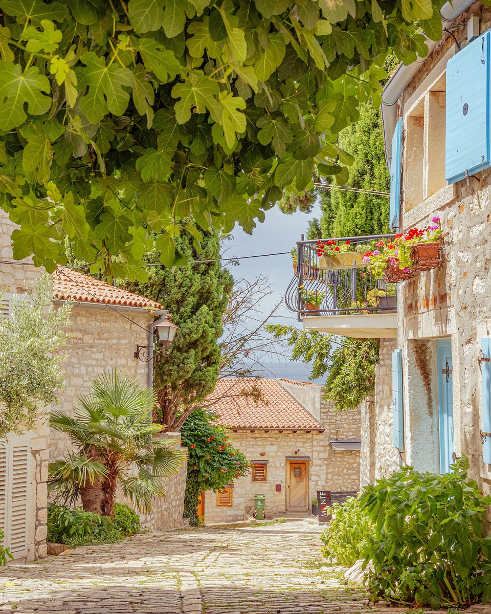 Discover seven extraordinary, lesser-known ports featured in Regent’s 2027–2028 Voyage Collection, from Croatia to Colombia to British Columbia. Which one calls to you? Read more bit.ly/3ITTwBM #LuxuryGoesExploring #OnTheBlog #LuxuryCruising