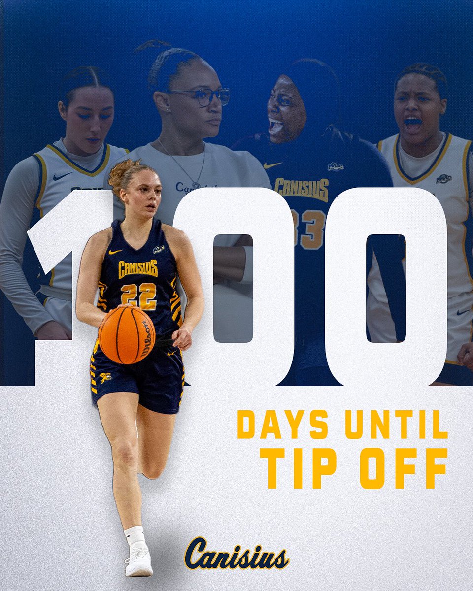 GriffsWBB's tweet image. the countdown begins ⏳

#Griffs | #MAACHoops