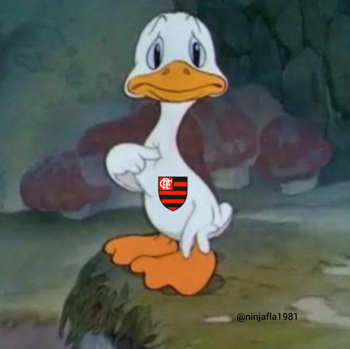 NinjaFla1981's tweet image. Cruzeiro perdeu e o Flamengo só depende de si pra assumir a liderança