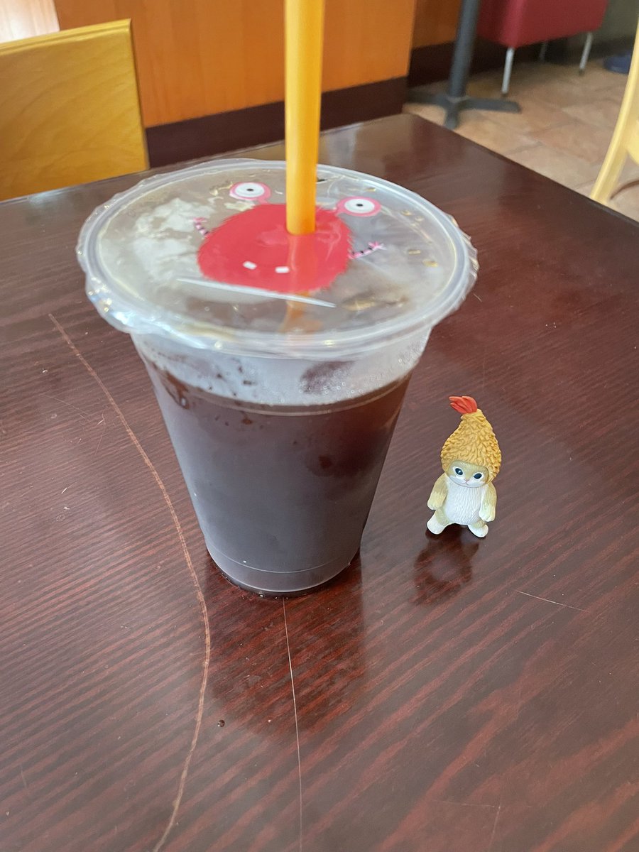 drinking exotic drinks in exotic places with exotic cats