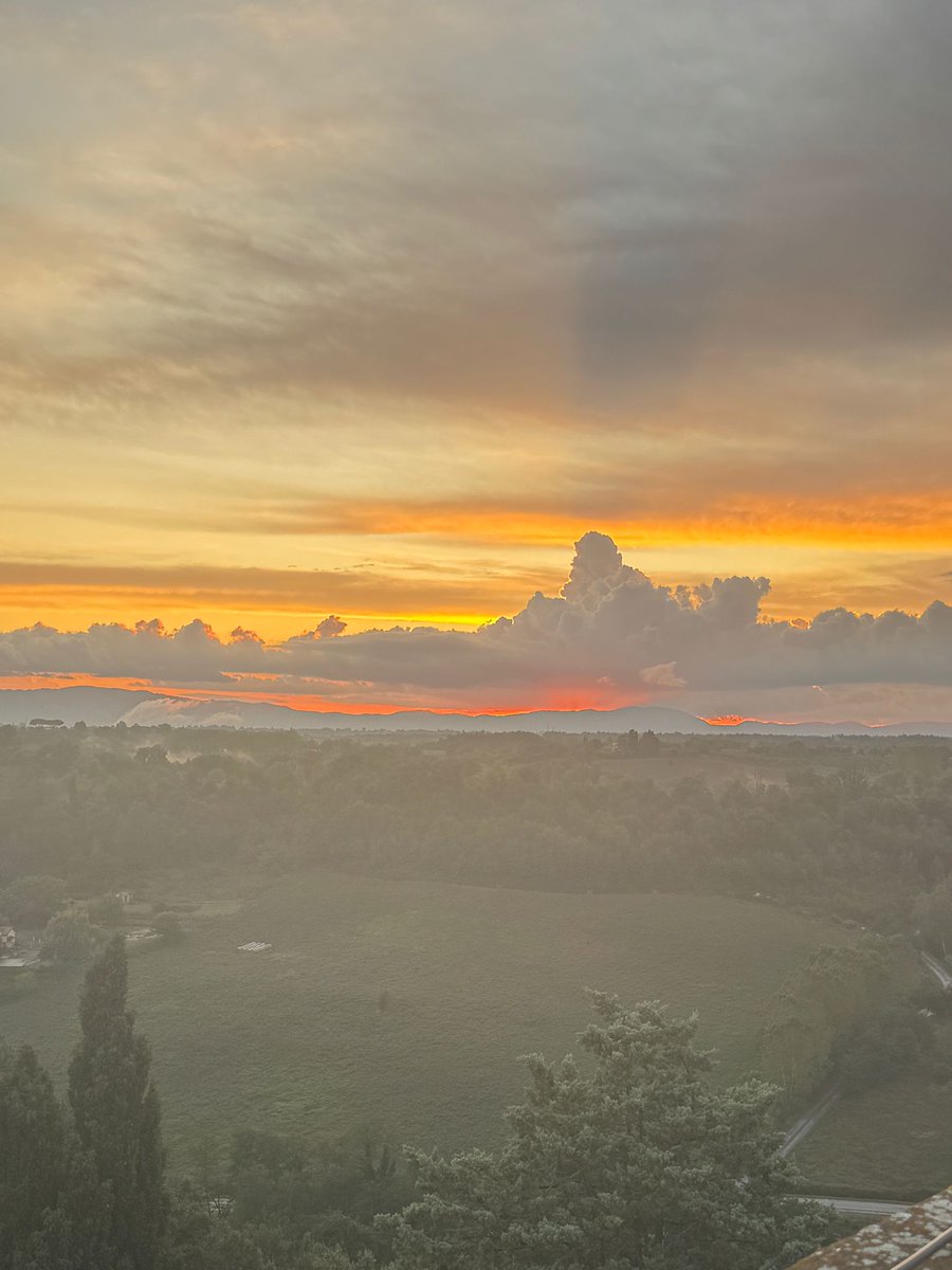 MyHeadIsAJungl1's tweet image. "Non rovinare ciò che hai ..
Desiderando ciò che non hai" (Epicuro)