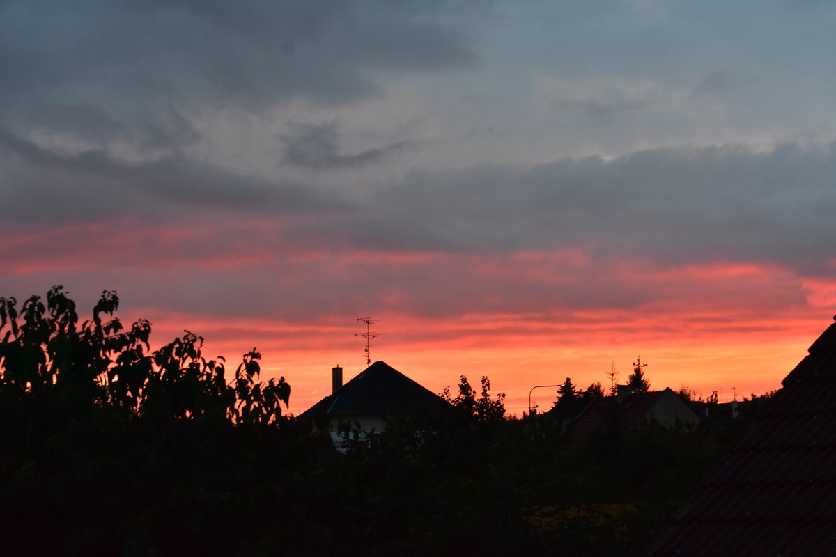 FallflowerK's tweet image. very red sky today