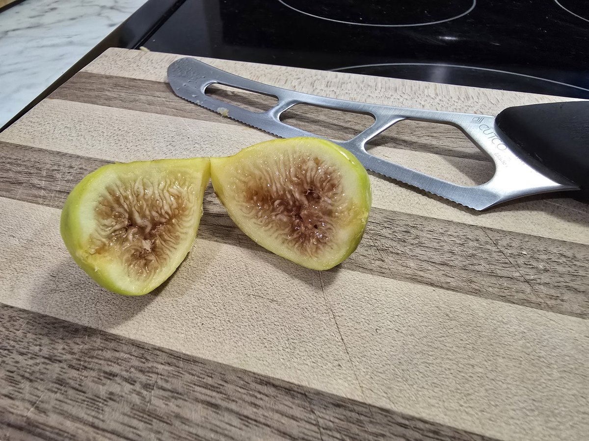 One of our Lola Martin Fig tree fruits. Figs are one of those fruits that are weird but delicious 😋