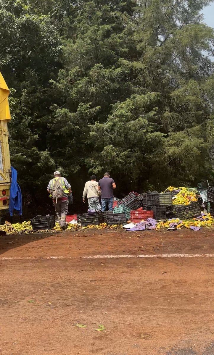 Bicireportera CDMX tweet media