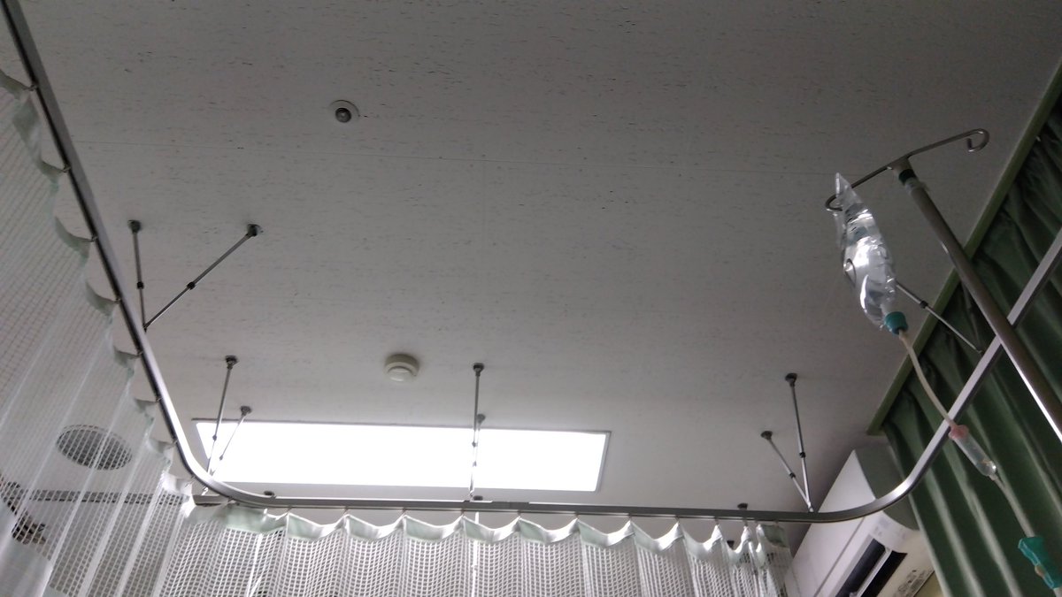 yuki_02010's tweet image. 幻想郷の夜明けです。