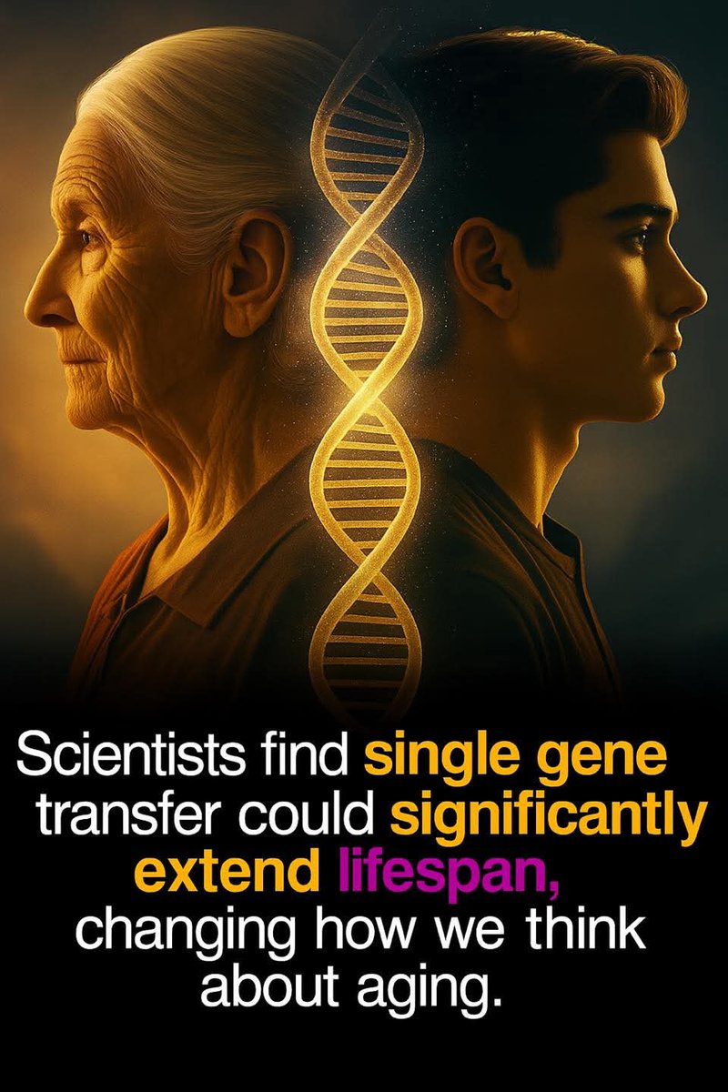 JaysonDC123's tweet image. New research reveals that introducing a single gene from the naked mole rat—a rodent renowned for its exceptional lifespan—into mice can extend their life and enhance overall health. The gene, known as hyaluronan synthase 2 (HAS2), increases the production of hyaluronic acid—a…