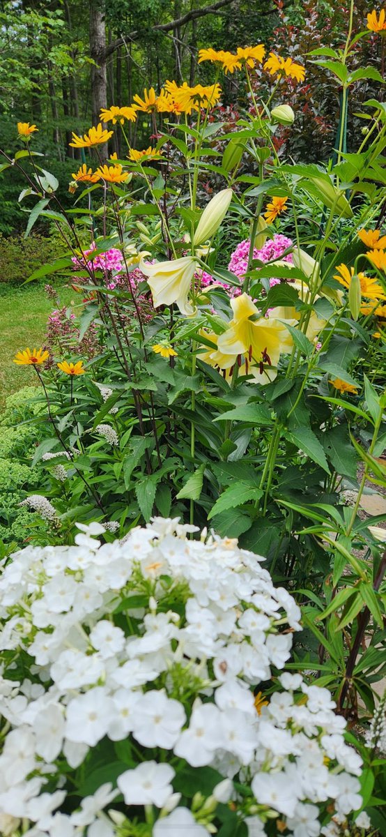 Good Sunday Afternoon to all….hope you are all having a BEAUTIFUL day today…

Got this today from my sister-in law in ME ….my brother passed a year ago unexpectedly but was a master gardener and his wife is keeping it going…..a great time to reflect that we should all find a