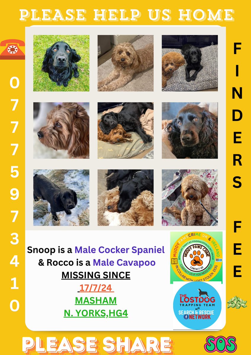 muddypawscrime's tweet image. 2 dogs don't just disappear , SOMEONE has information
If you know anything at all no matter how small please speak to us IN CONFIDENCE
@MissingPetsGB @rosieDoc2 @HunnyJax #SHARESUNDAY