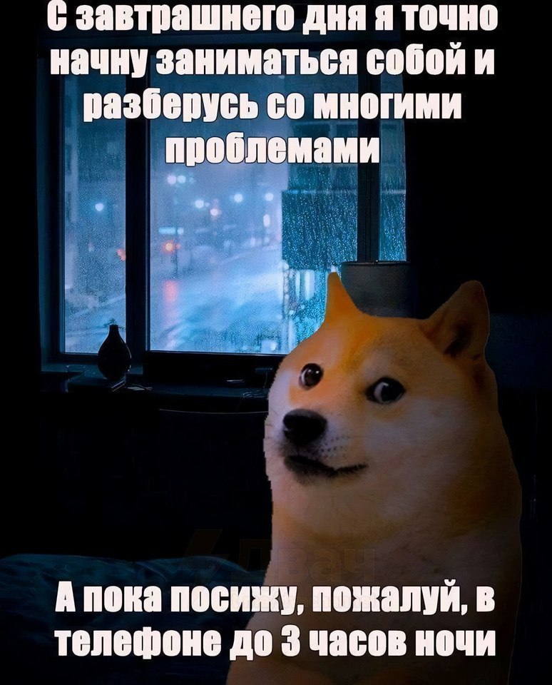 Nickro666's tweet image. 