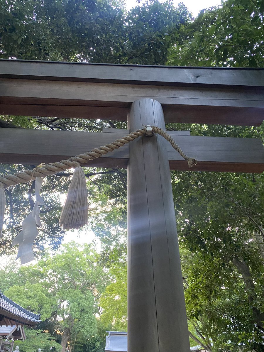 7月28日(月)
皆様おはようございます🌿
涼しい朝☀️ですコチラ
そろそろ私の垢も復活⁈
お手洗などお掃除も済ませ🧹✨

お詣りさせていただき始め
今日も一日よろしくお願い
しますね🤗🌈🌿✨