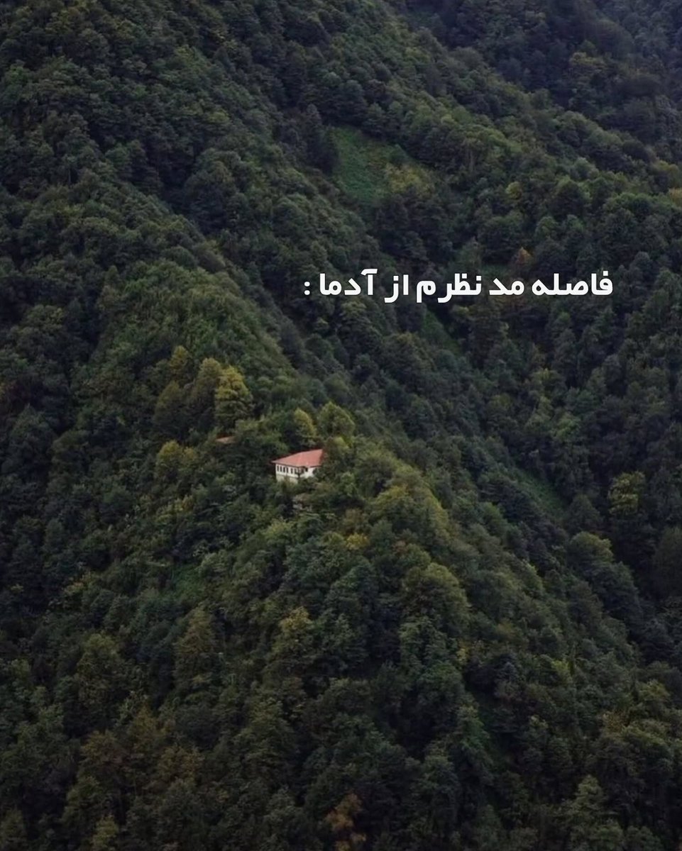 soh362's tweet image. 🙂🏕