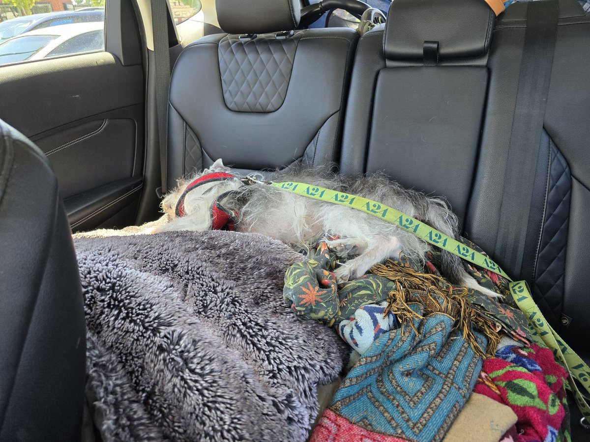 Vacation mode activated
