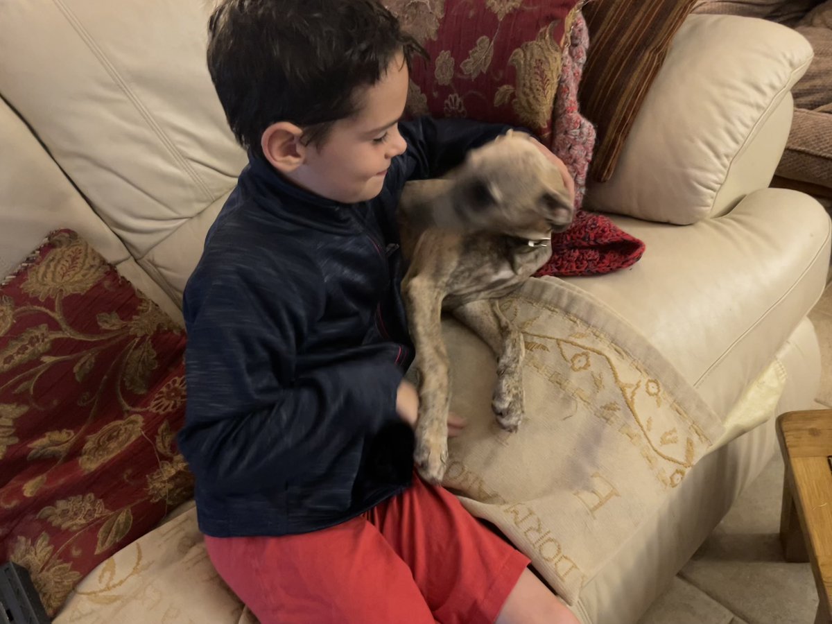 Im Oscar Charlie puppy pleased to meet you Ickle Hoo ❤️❤️❤️