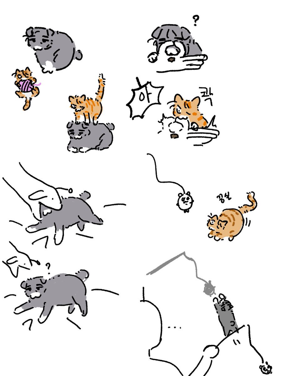 threesam_33's tweet image. 墓水 🐱