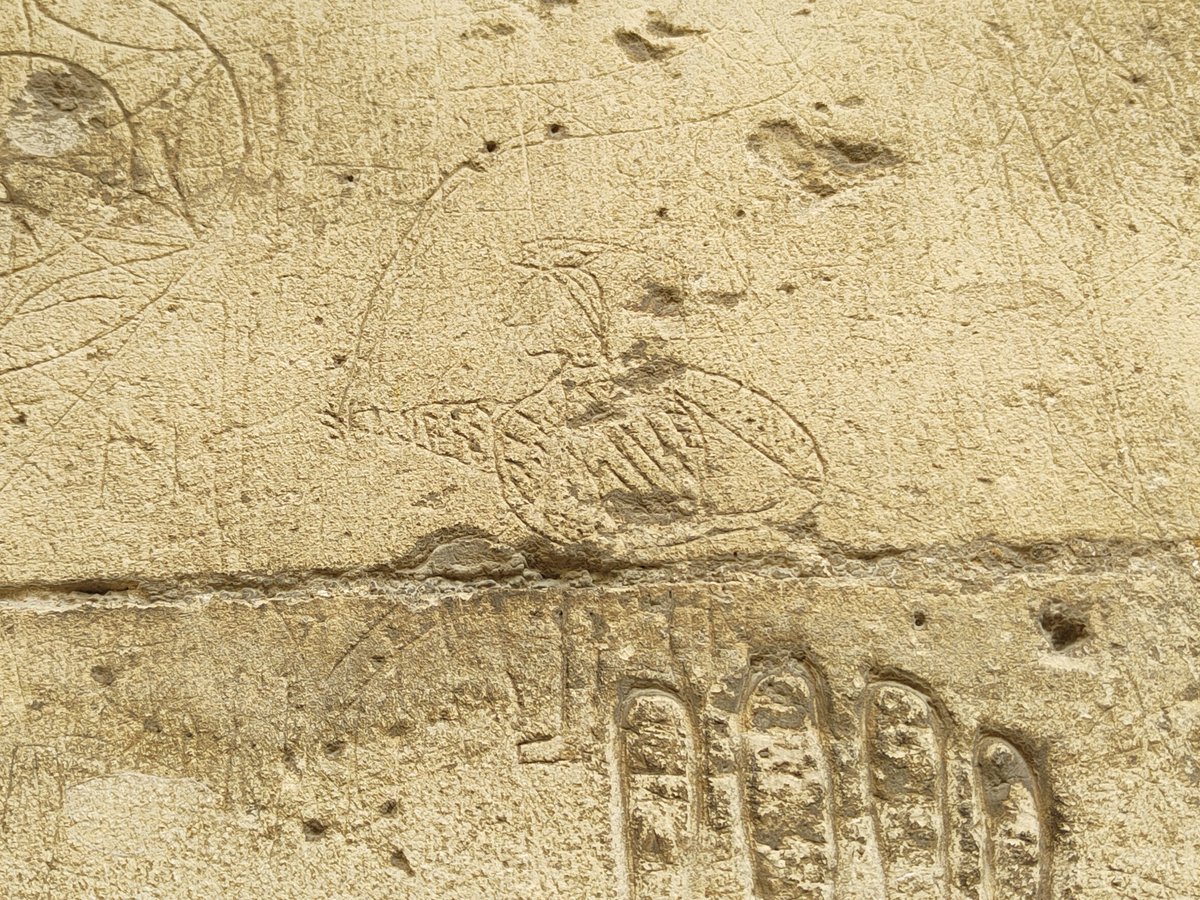 Palaumede's tweet image. Murs ouest, église Saint-Michel de Vaucelles, près de Caen.
1. Saint Michel avec sabre, ailes et auréole (?), et puis quatre mains grandeur réelle, peut-être des contours d'après nature
2. 1792, bonnet phrygien et deux faisceaux de licteurs avec piques
3. Calvaires
4. Un navire