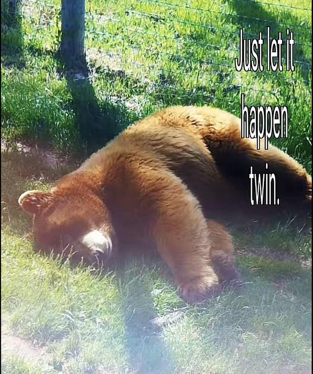 UniVersJ_'s tweet image. im rubbing YOUR belly 🫵