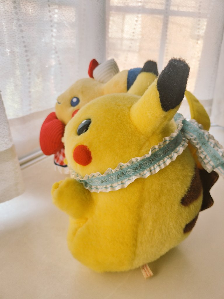 ameuni's tweet image. 朝の日向ぼっこ