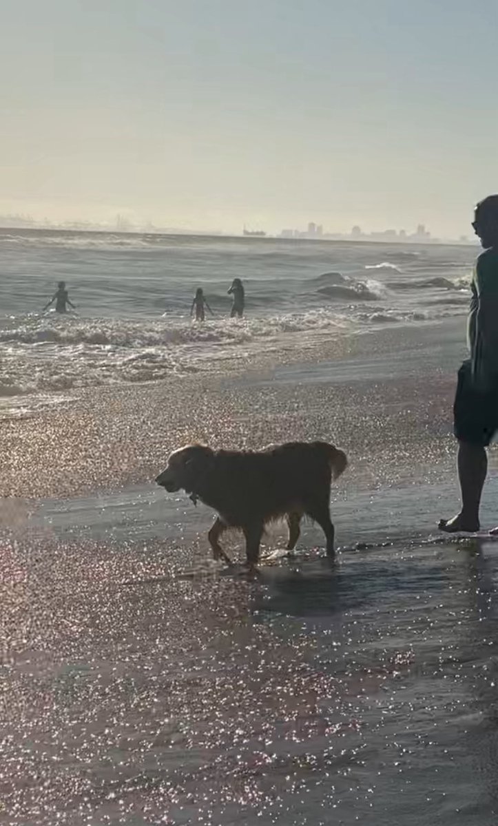 316Sundevils's tweet image. Amazing week in Cali watching J play ball.  Dude is getting better every day. He’s grinding his tail off and we’re very proud. Great things ahead. 

Dixie has now followed her brother coast to coast on baseball trips.  No bad days when you’re chasing a dream.