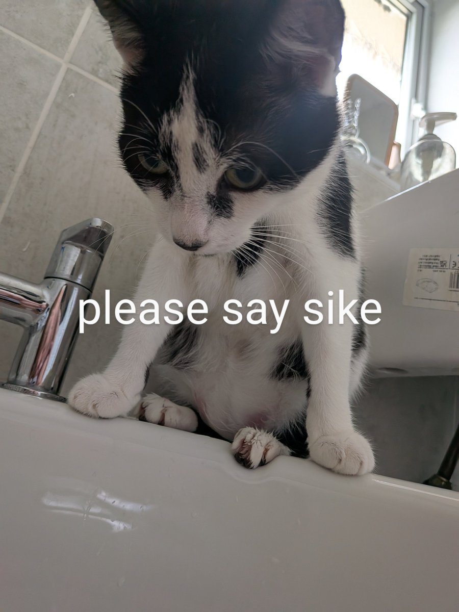 mole_roll's tweet image. 