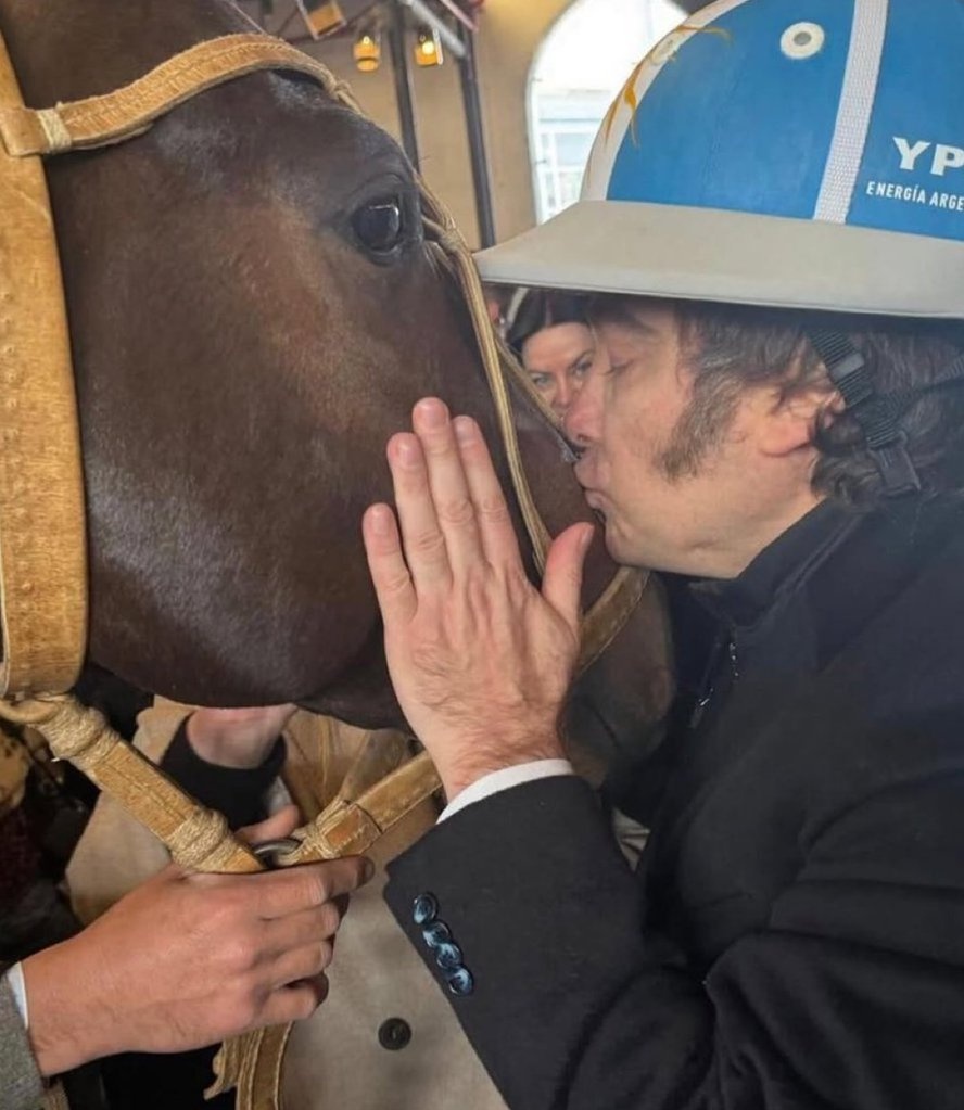 IncansableSebas's tweet image. El pobre caballo mira como diciendo: "Qué hice yo para merecer esto?" 🤣🤣🤣