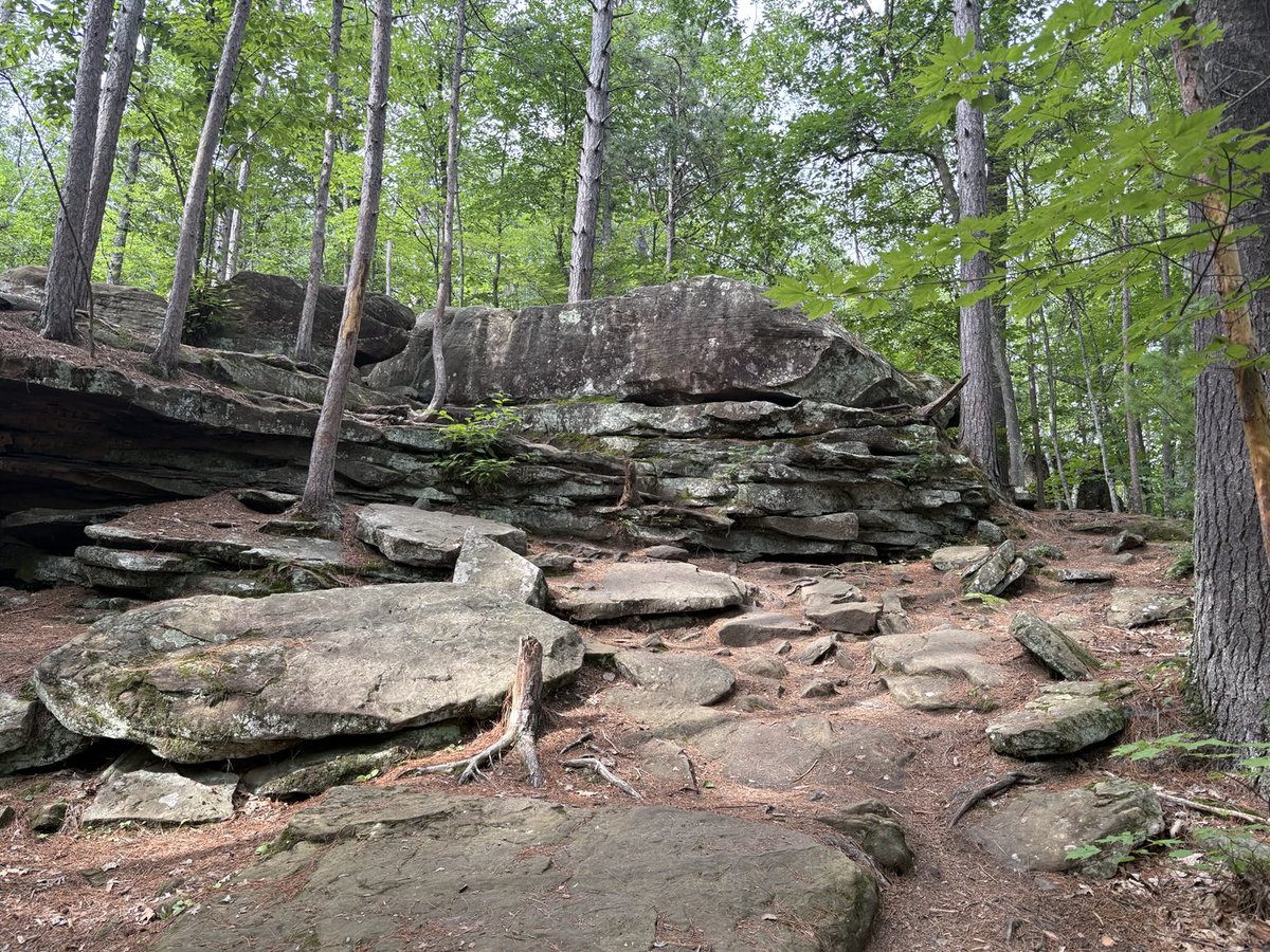 puttsandmutts's tweet photo. Banning State Park never disappoints! #BanningStatePark #ExploreMN https://t.co/UMmCYiIZxX