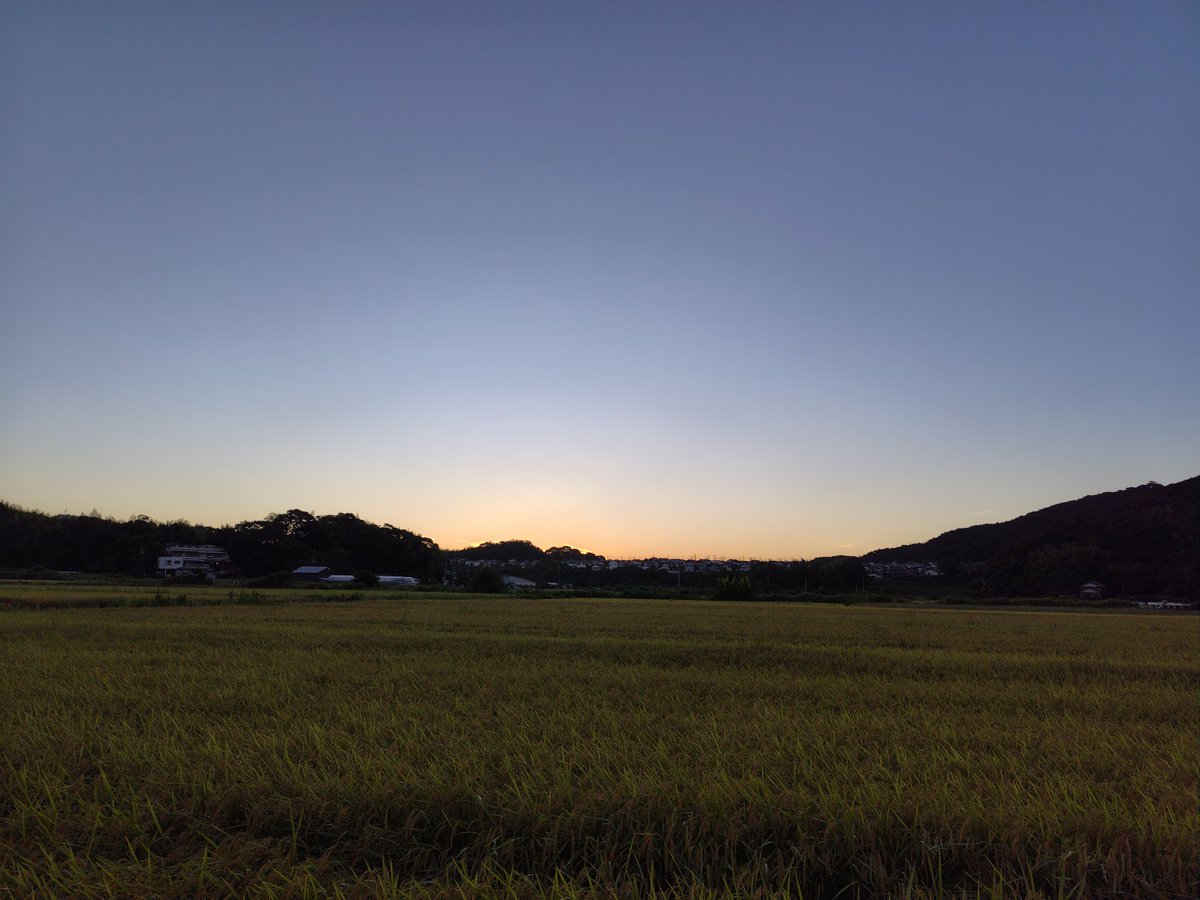 tukizora_ke_'s tweet image. ☀ 250728 アサソラ
太陽 おはよう♪
お手柔らかにお願い○┓
皆さん今日も
元気に行ってらっしゃい👋
カモちゃんキモチヨサソウ 🦆⸒⸒