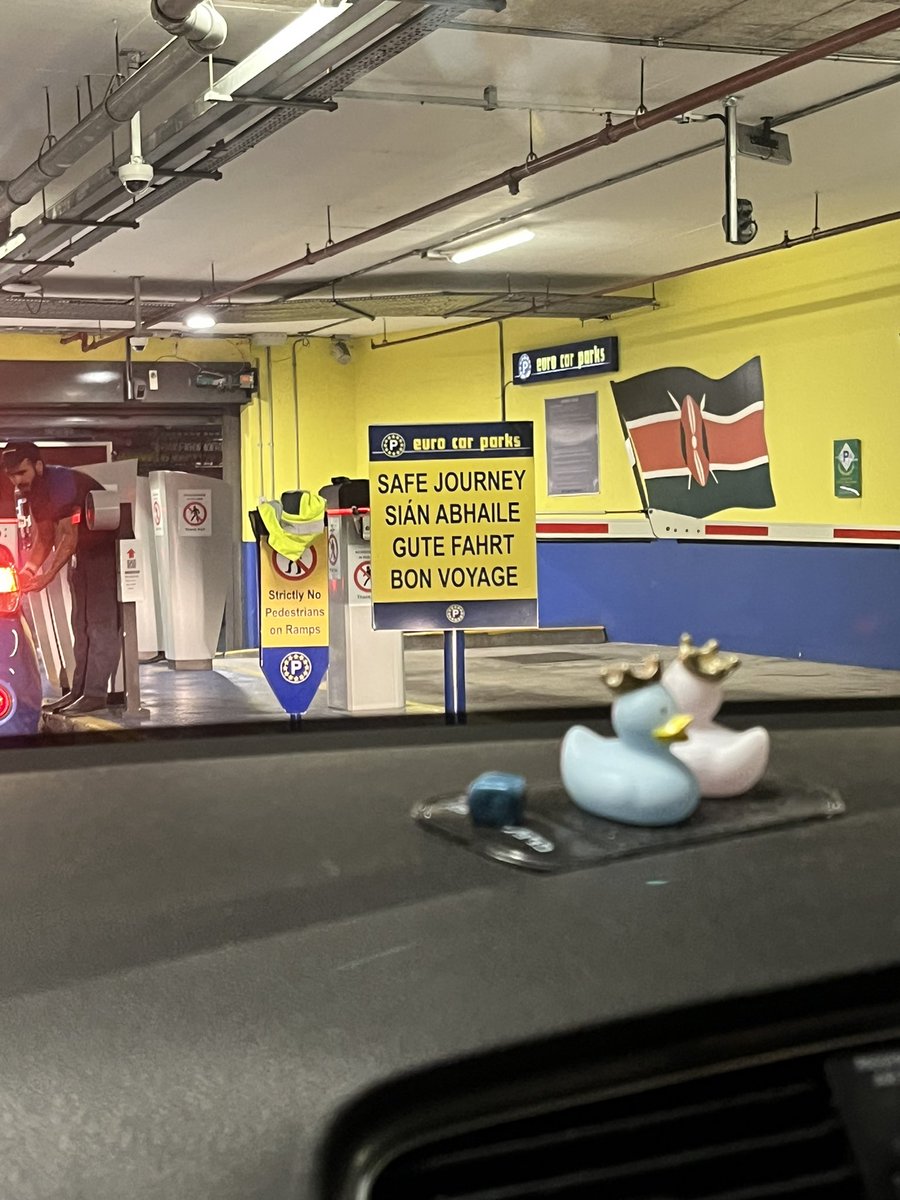 youdfallapart's tweet image. gute fahrt directly after billie she basically told me goodbye personally