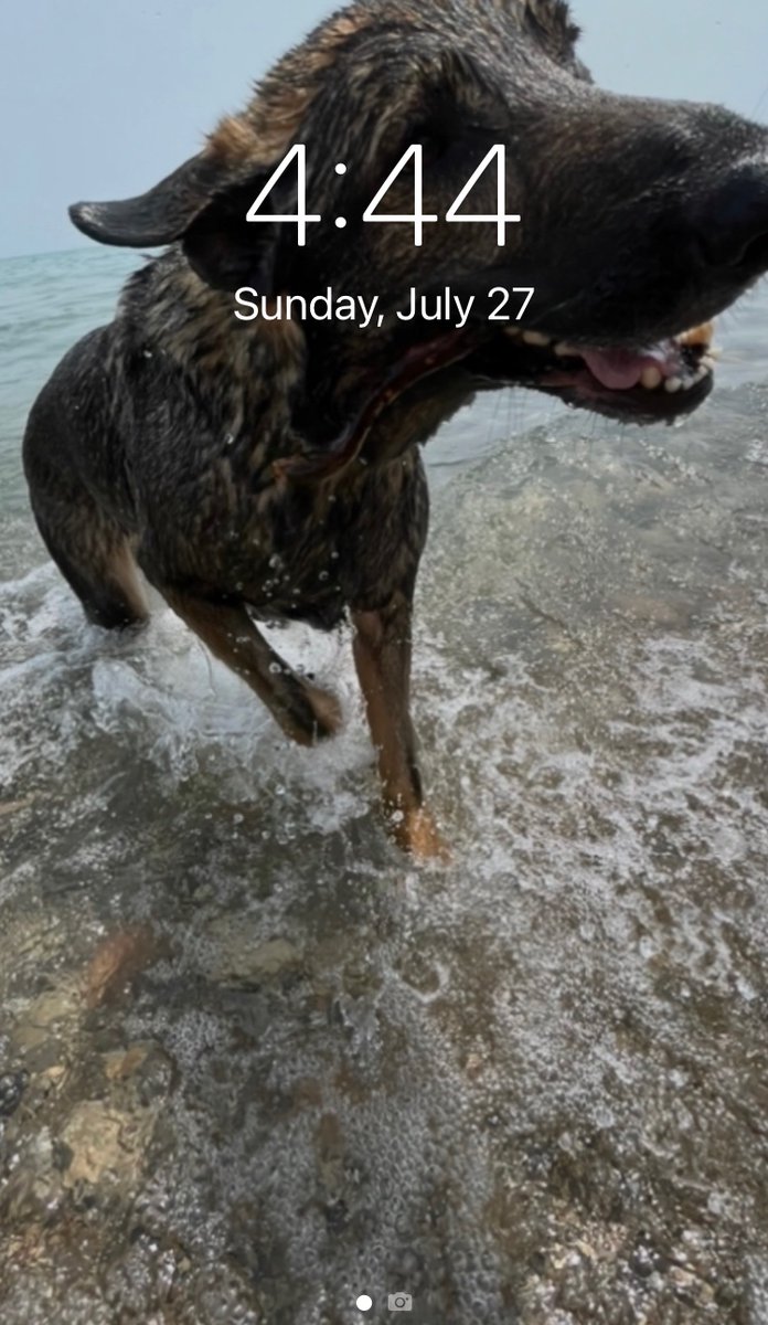 audio_glass's tweet image. signs and portents!
(we’re going swimming)