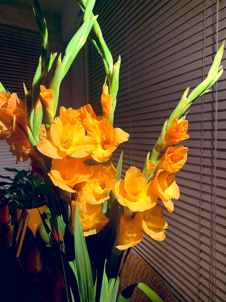 Big shout out to all those with Autism who are unable to communicate how they really feel. And Lash Out with their utter frustration with their inability to express. 
Sooo sad.