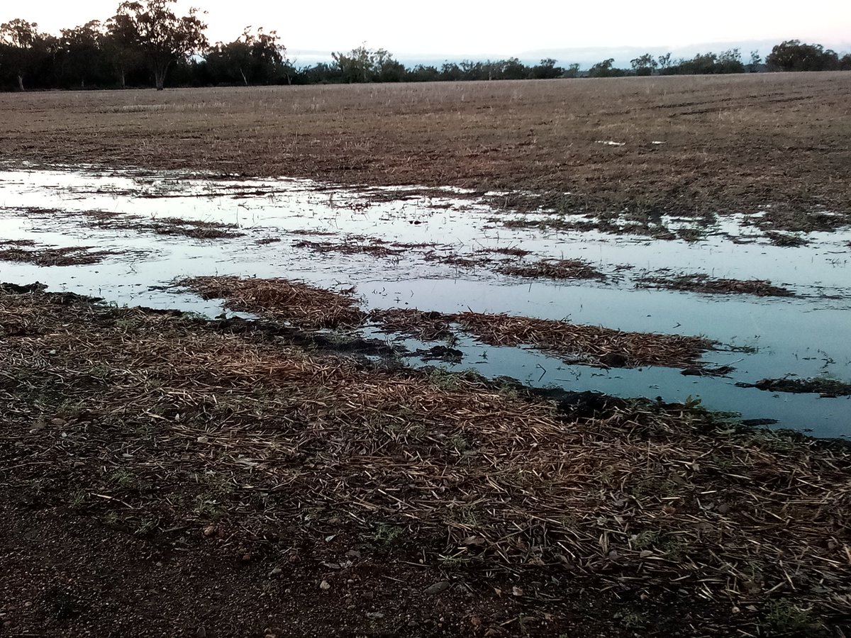 Oscarthefarmer's tweet image. Old phone, shit camera. But yeah still shows it's rather #moist