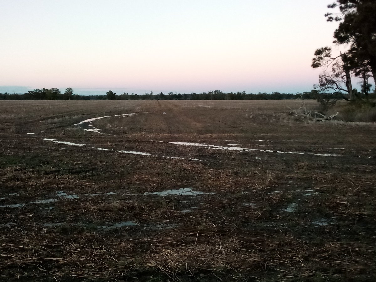 Oscarthefarmer's tweet image. Old phone, shit camera. But yeah still shows it's rather #moist