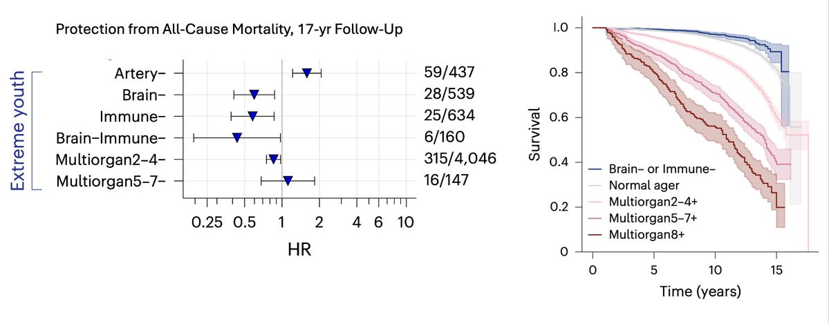 The pace of aging of which organ(s) is most linked to improved survival?
The brain and immune system
(others include kidney, liver, lung , pancreas, and heart)
nature.com/articles/s4159…