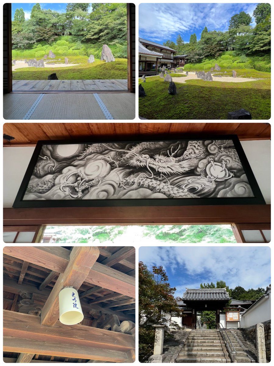 k_tamago_power's tweet image. 【光明院】
創建 室町初頭の1391年(明徳二年)、
東福寺の塔頭として金山明昶によって建てられたそう✨ 「虹の苔寺」の異名があるそうで、苔と砂の見事な調和を見せる主庭と昭和の作庭家・重森三玲の手になる枯山水庭園の「波心庭」があり落ち着いた雰囲気を味わえる😊