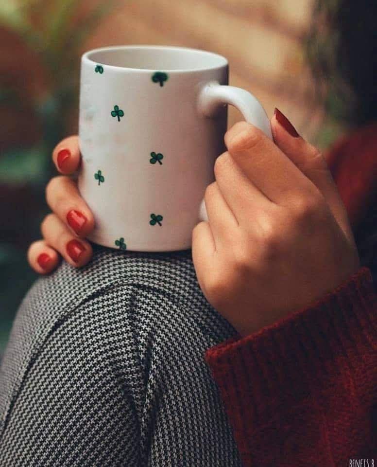 cosystories's tweet image. Damn, it's cold! Feels like late autumn. I love it, but I also love sitting in my backyard, if y'all know what I mean.