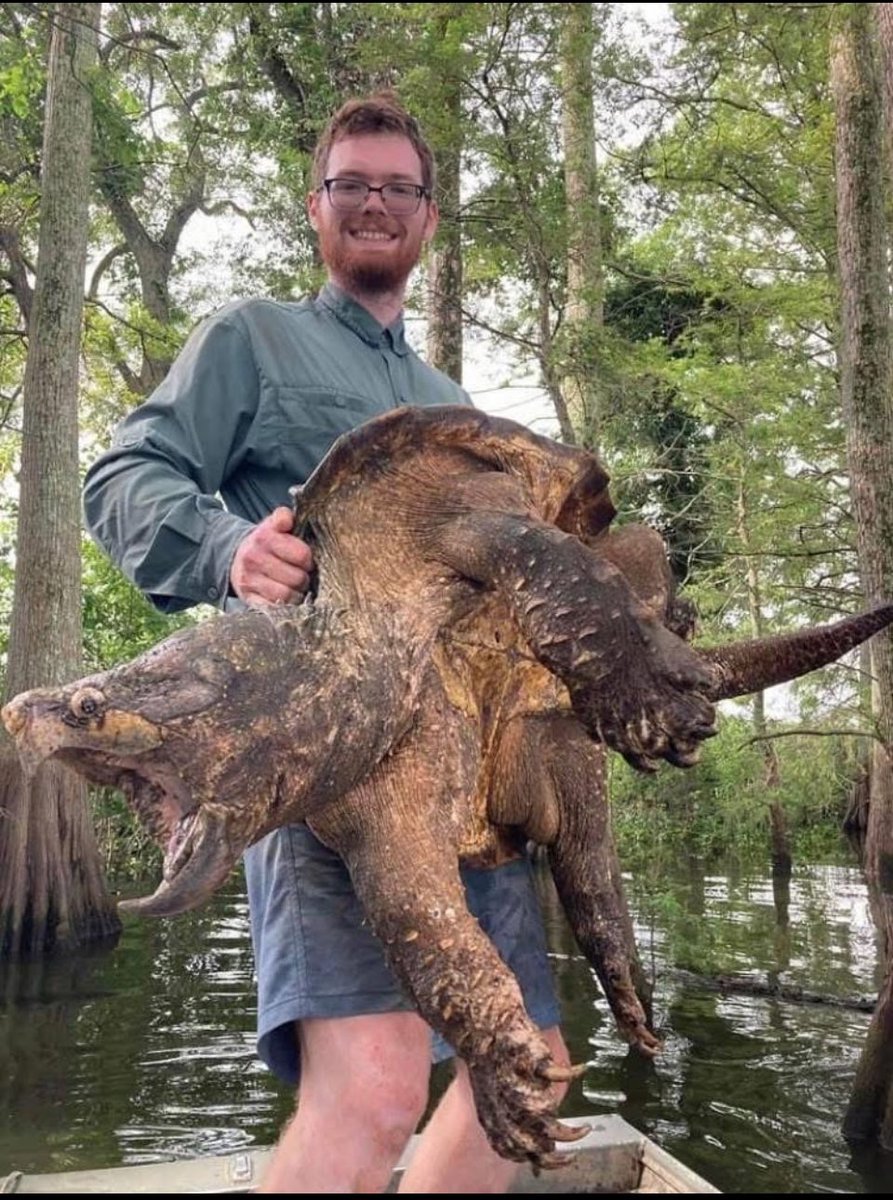 1Bonehed's tweet image. I certainly hope they are rescuing him from a bad situation instead of disturbing him just for a photo opp…