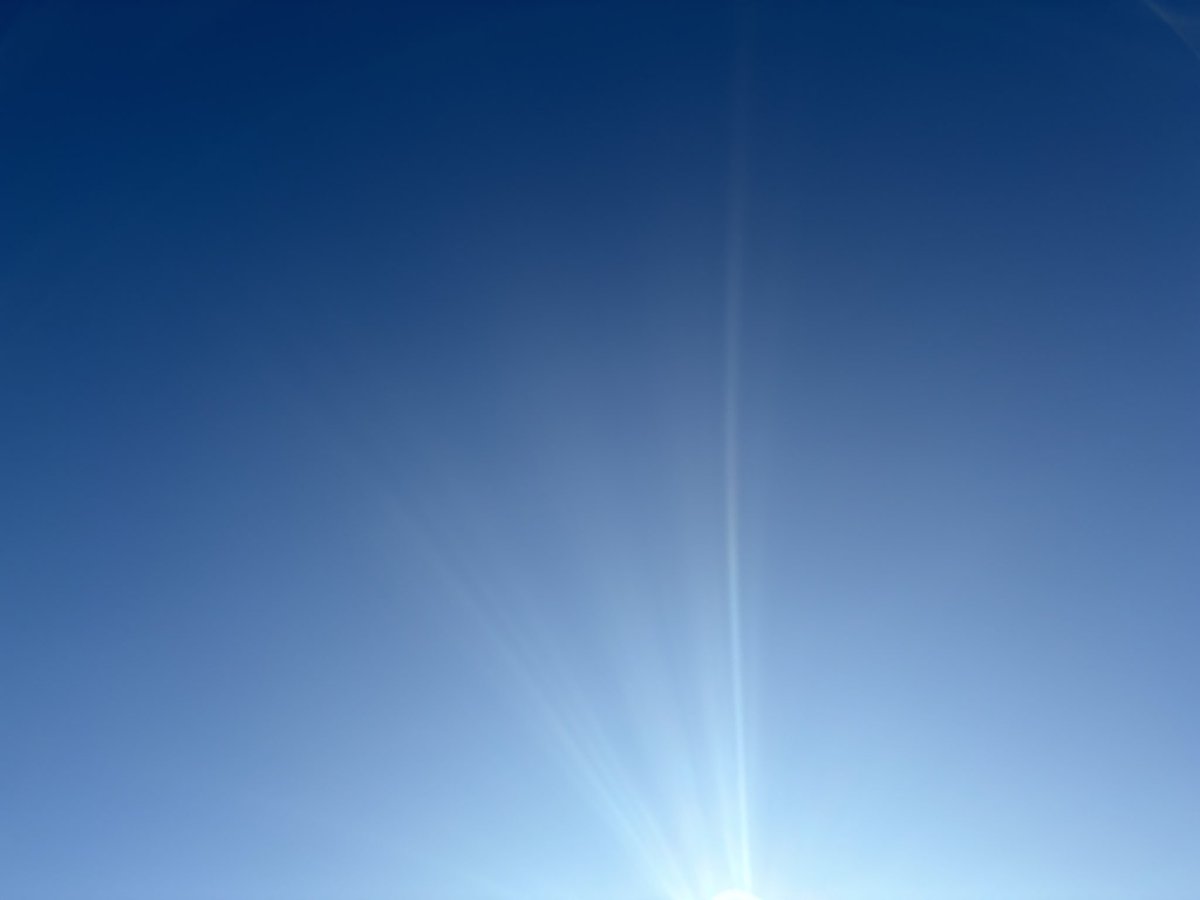 zetalyrae's tweet image. Good morning