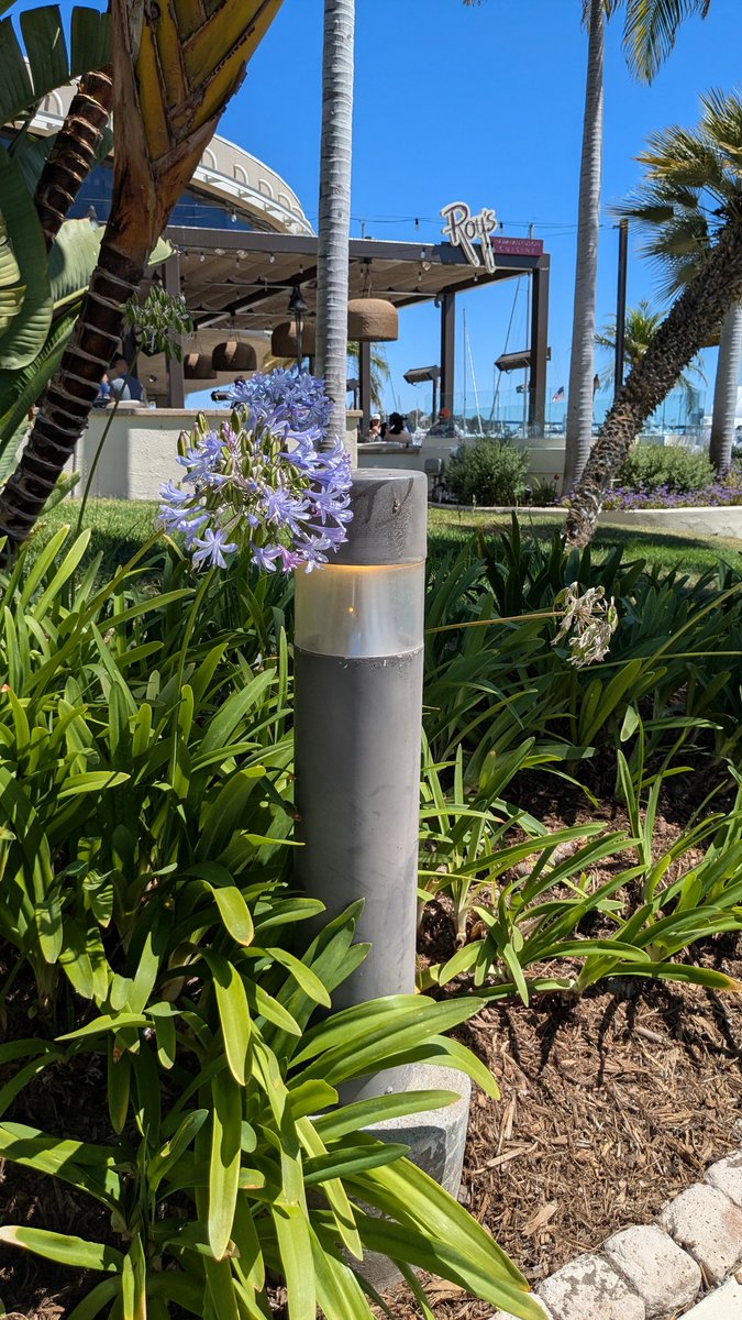 Nifty Neuron 🧶 tweet media