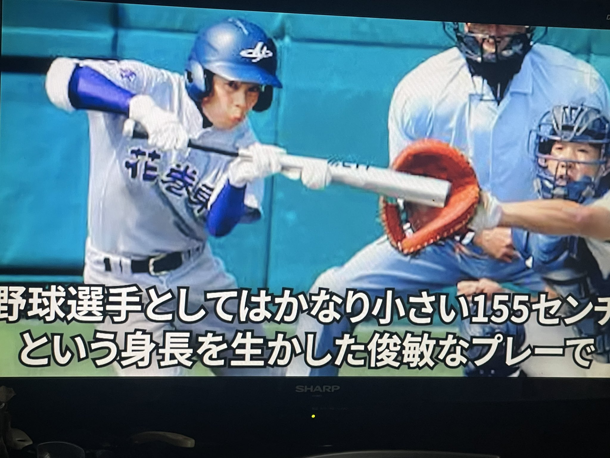 のんち⭐プロフィール確認して下さい。 Hello folks, | Singh kun🇯🇵🇮🇳 posted on the topic | LinkedIn