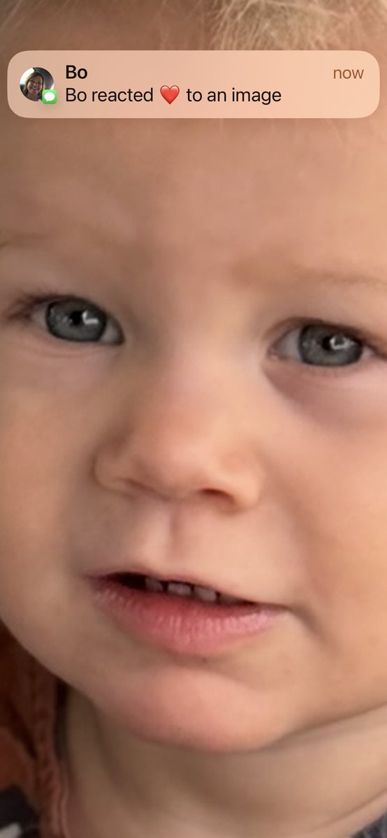 jimbunte's tweet image. Granddaughter with grandfather green eyes. 

We are gonna make it.