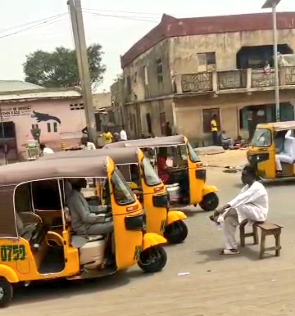 wisdomdyn's tweet image. Touch grass u no gree.!