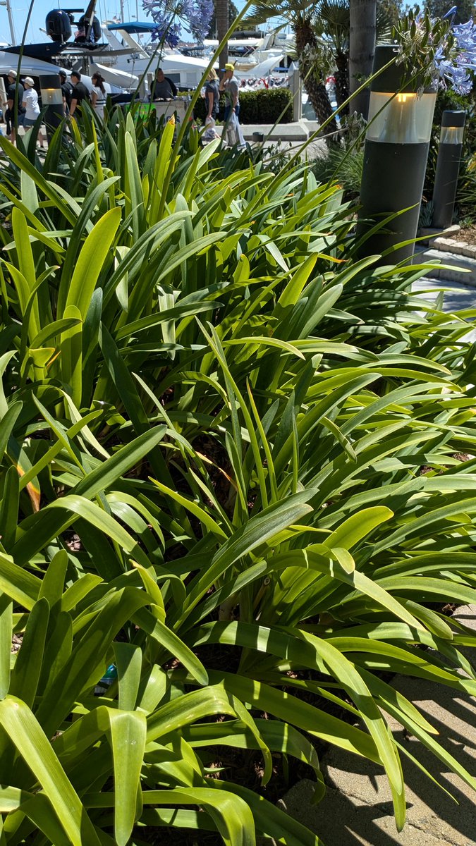 Nifty Neuron 🧶 tweet media