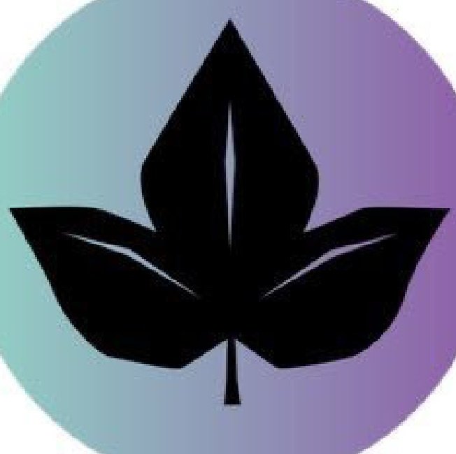 Prowess7171's tweet image. The @IvyFi_io phase 2 testnet is coming to an end in the next few hours
Now we wait for update on bugs found from the devs and how many where successfully corrected
Also we still have another phase coming up
Stay tuned and let @DeFi_Jon the white hate and the ivyfi team cook