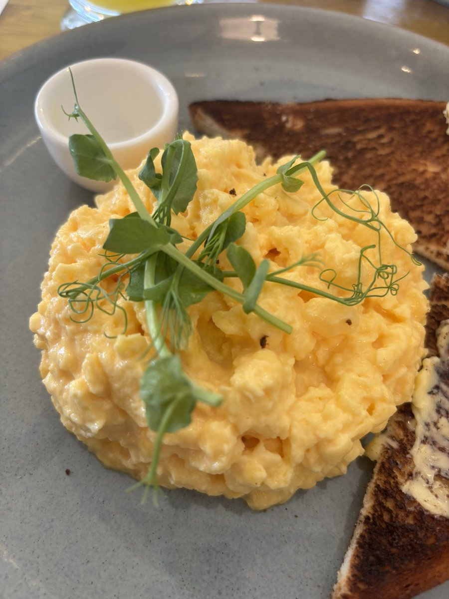 JudyMurray's tweet image. Unnecessary foliage. Still alive and kicking. 🍃 🍃
Does anybody actually eat this stuff? Or do you pick it off (like me) and find somewhere to dump it?