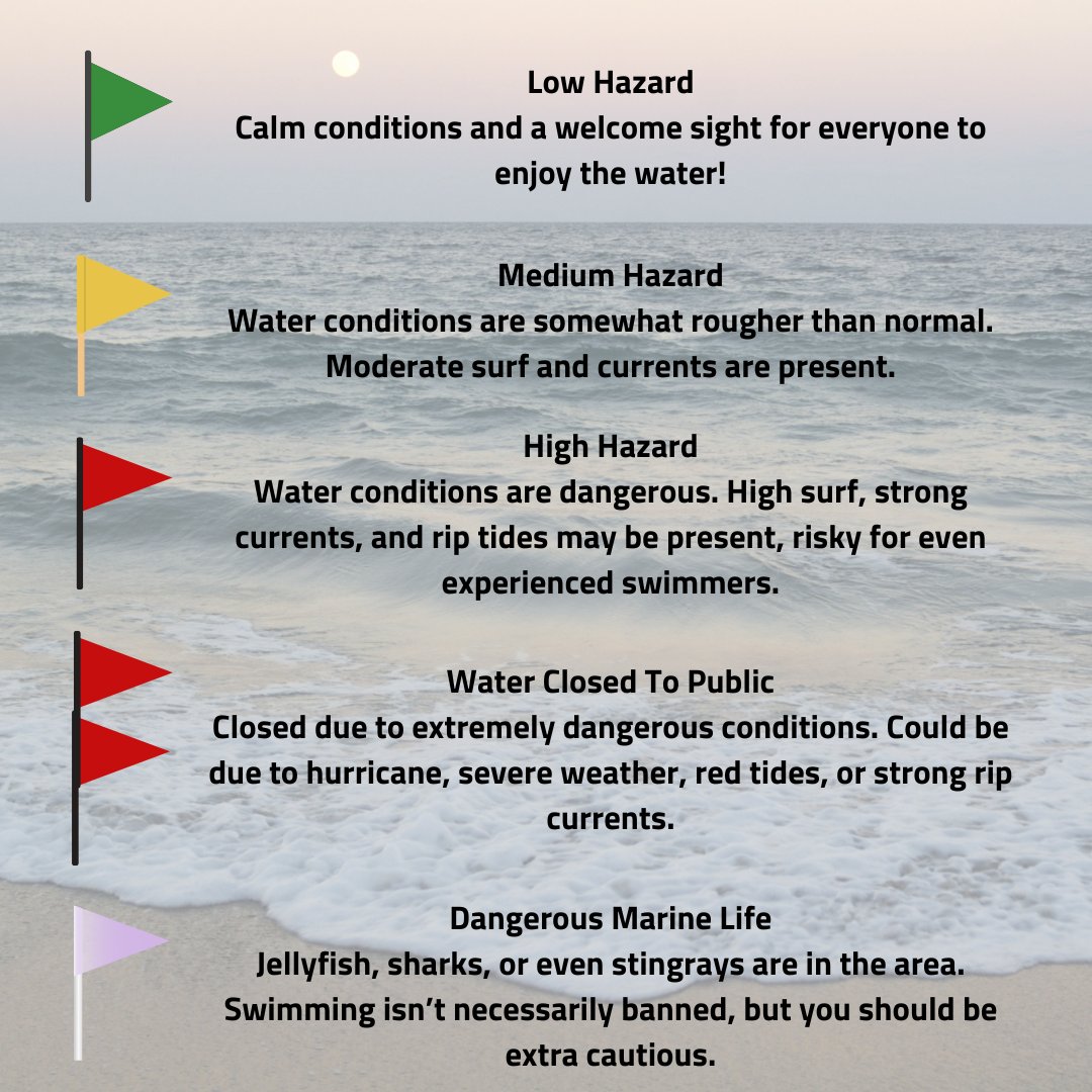 Safety first! Learn what those beach flags mean before you dive in. 🏖️ #BeachSafety #FtWaltonTips