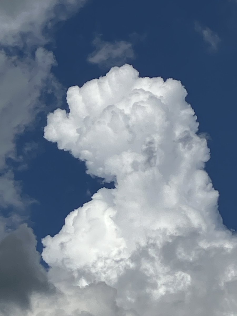 awake_human's tweet image. How many different faces do you see?