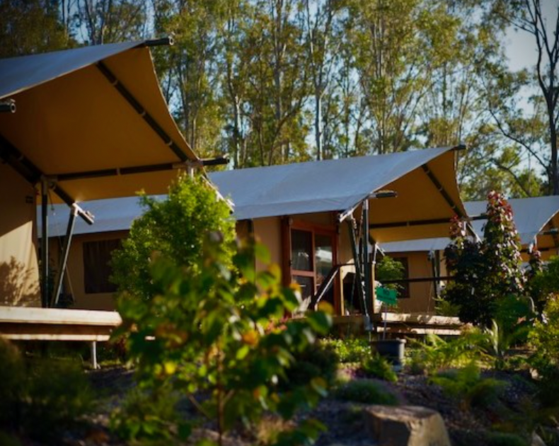 Woodfordia's tweet photo. Camper, Glamper or lover of the swaglife? Either way we’ve got you covered. 
A reminder: Personal campfires are now permitted for our Lake Gkula Camping Spring Camping dates. Woohoo! 
Bookings cam be made via https://t.co/ocqccNifyL
                                                                                                                                       #visitmoretonbay #woodfordia #glamping #campinglife #swaglife #lakegkulacamping #camping #spring #springcamping