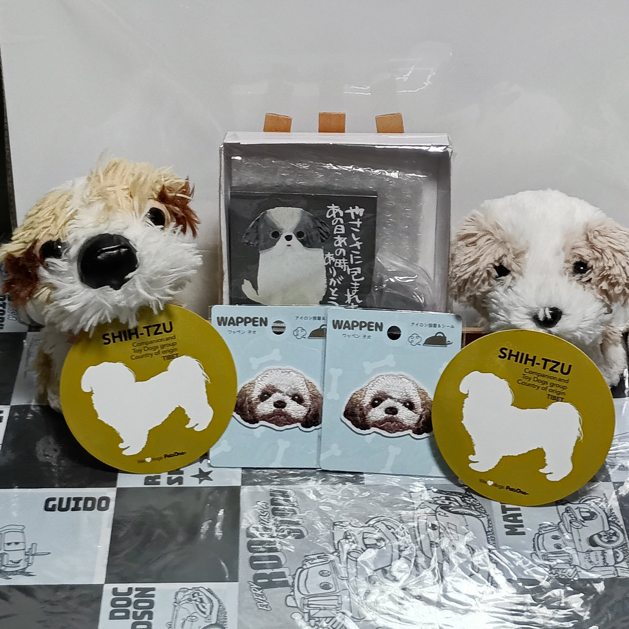 ワンちゃん！ Amazon.co.jp: おさんぽしよう!とことこワンちゃん マルチーズ